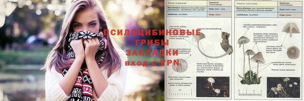 бутират Иннополис