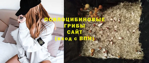 ALPHA PVP Инсар