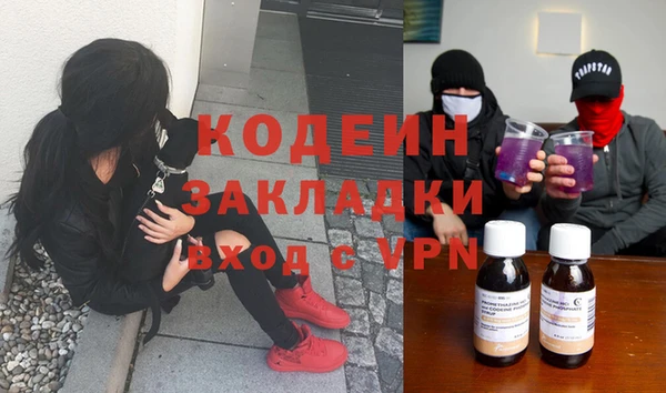 дживик Инта