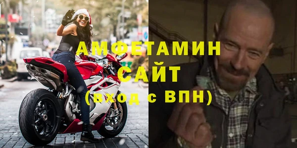 дживик Инта