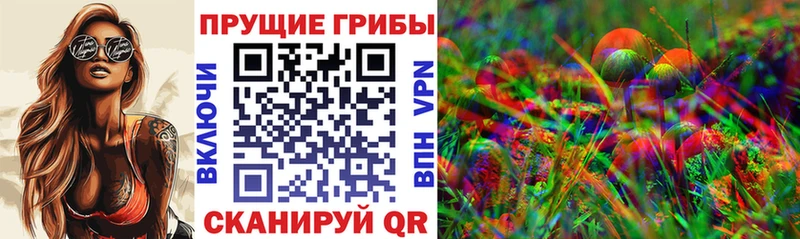 Купить  Починок  Псилоцибиновые грибы Psilocybe 